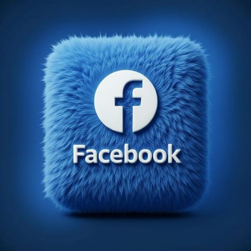 Facebook Seguidores para Página/Perfil | Argentina – Reales – Sin Caída – Máx 5K